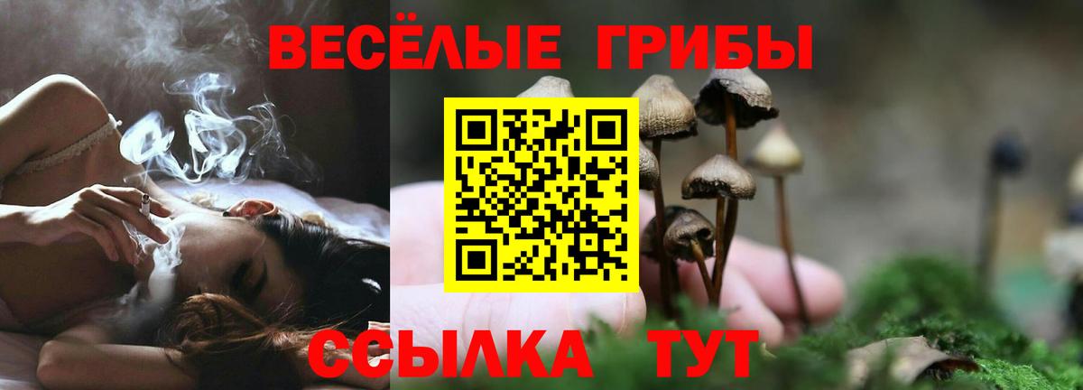 Псилоцибиновые грибы ЛСД  Галлюциногенные грибы MAGIC MUSHROOMS  Магнитогорск  Вход с VPN 